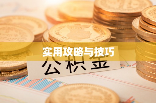 珠海实用攻略与技巧