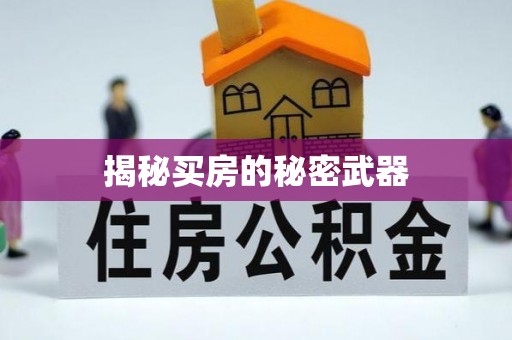 珠海揭秘买房的秘密武器