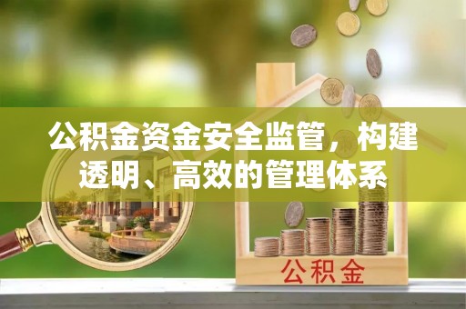 珠海公积金资金安全监管，构建透明、高效的管理体系