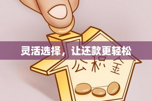 珠海灵活选择，让还款更轻松