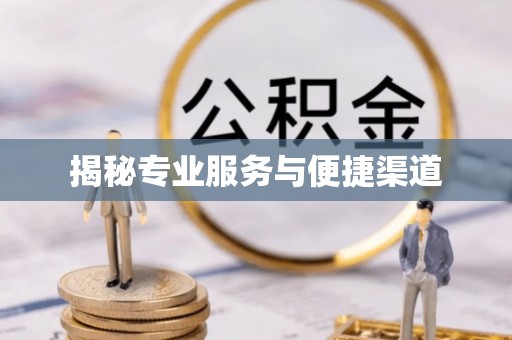 珠海揭秘专业服务与便捷渠道