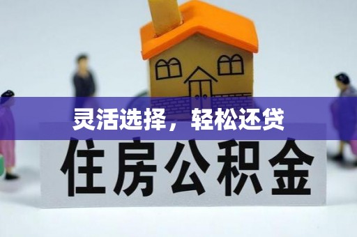 珠海灵活选择，轻松还贷