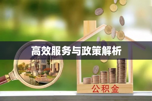 珠海高效服务与政策解析