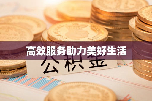 珠海高效服务助力美好生活