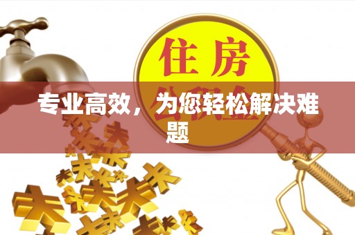 珠海专业高效，为您轻松解决难题