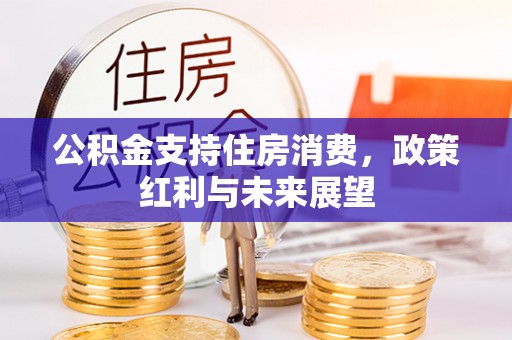 珠海公积金支持住房消费，政策红利与未来展望