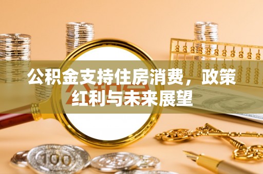 珠海公积金支持住房消费，政策红利与未来展望