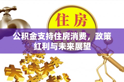 珠海公积金支持住房消费，政策红利与未来展望