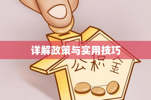 珠海详解政策与实用技巧
