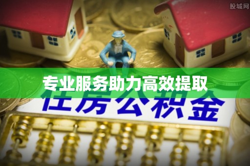 珠海专业服务助力高效提取