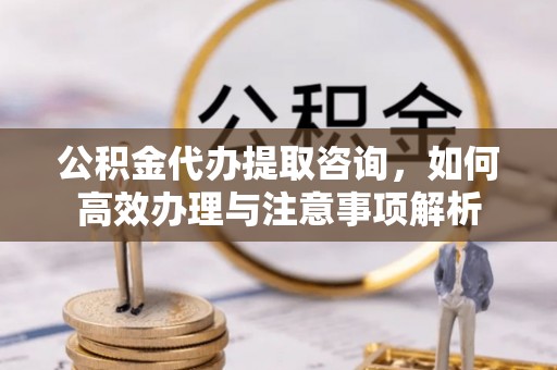 珠海公积金代办提取咨询，如何高效办理与注意事项解析