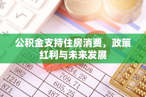 珠海公积金支持住房消费，政策红利与未来发展