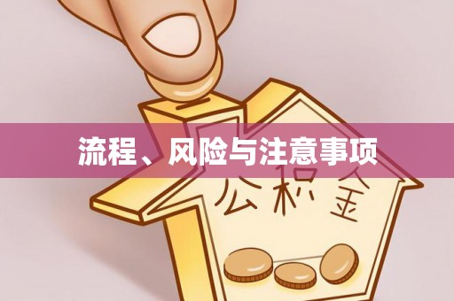 珠海流程、风险与注意事项